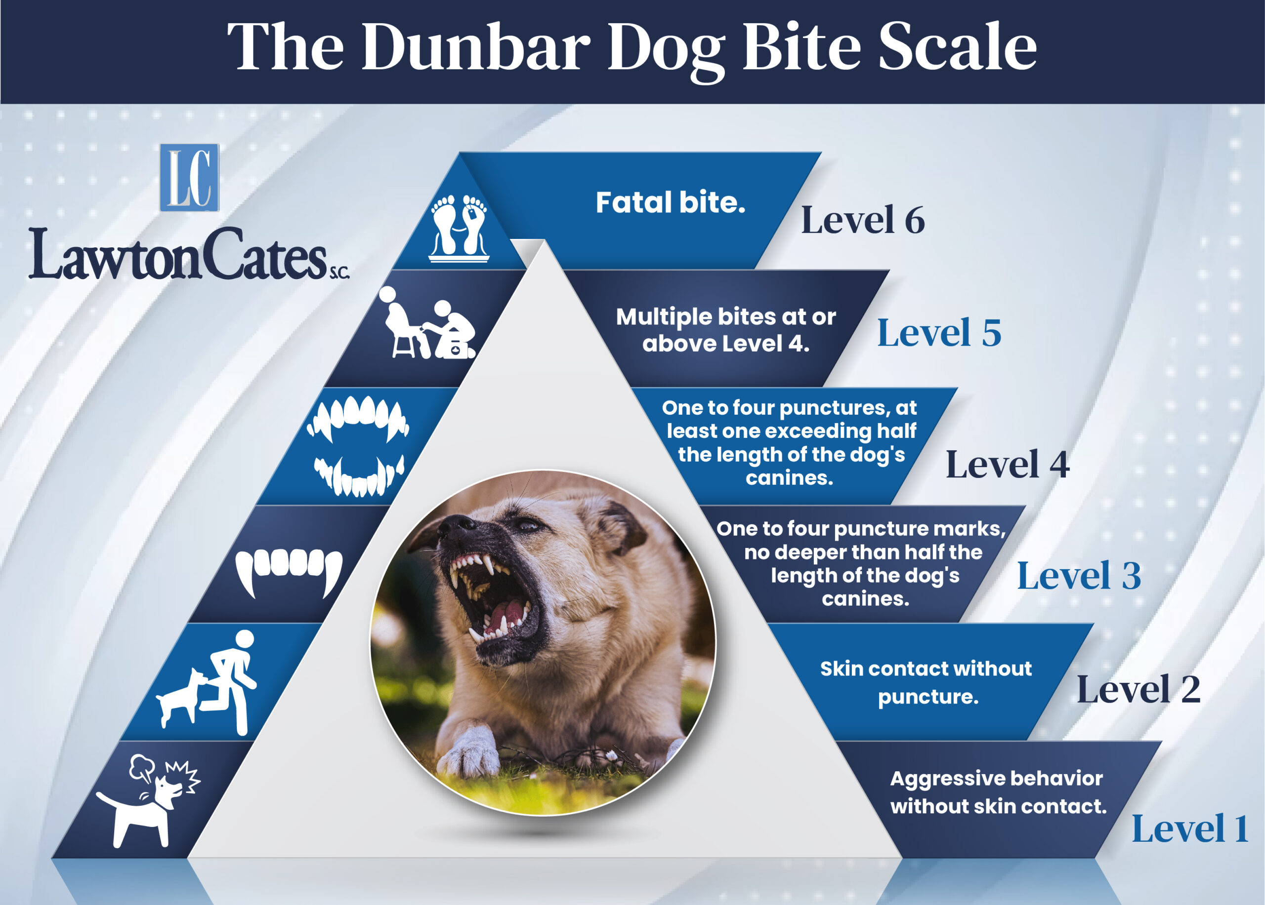 Dog Bite Scale