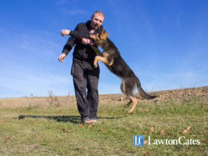 Wisconsin Dog Bite Statute